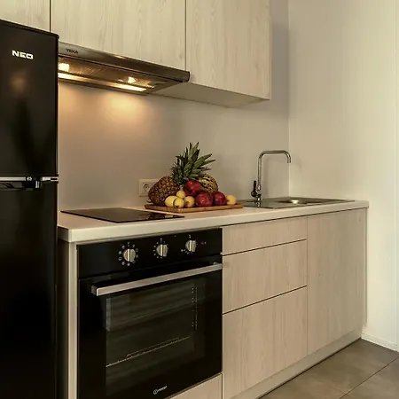 Aelia מלון דירות Tínos